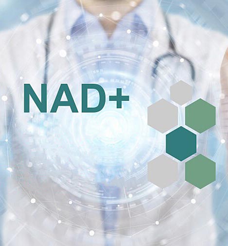 NADV3-web-bnr